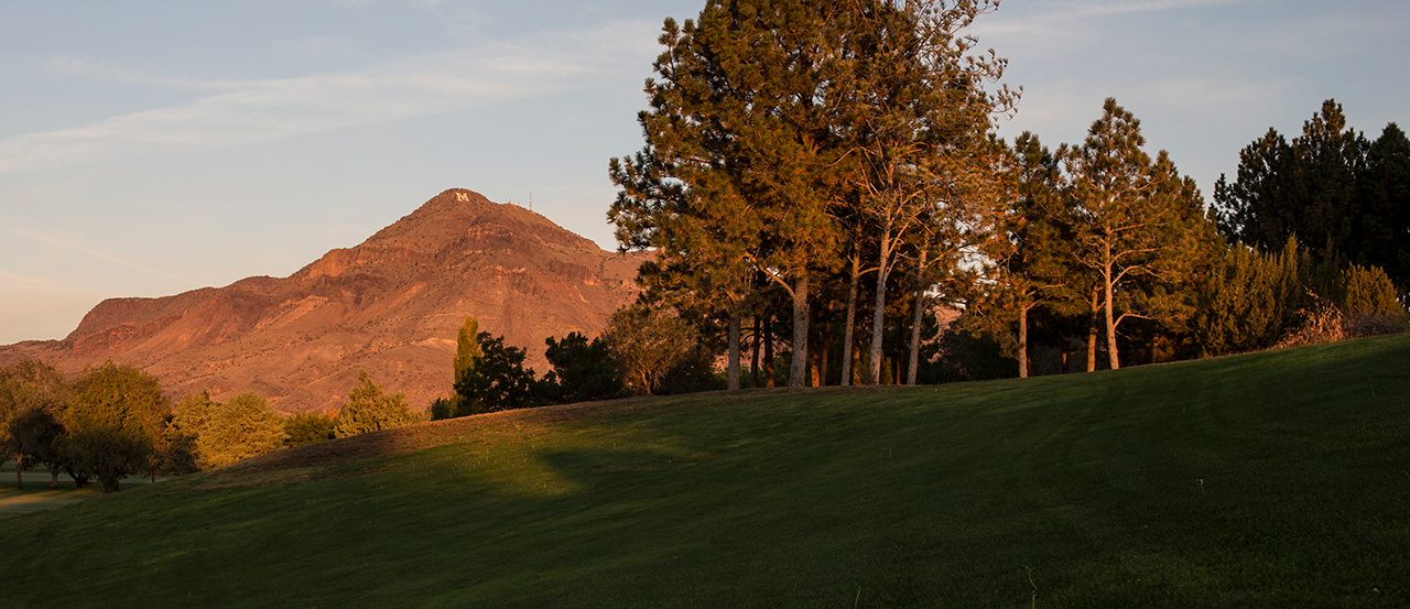 M山日出时的图像，前景是高尔夫球场和树木