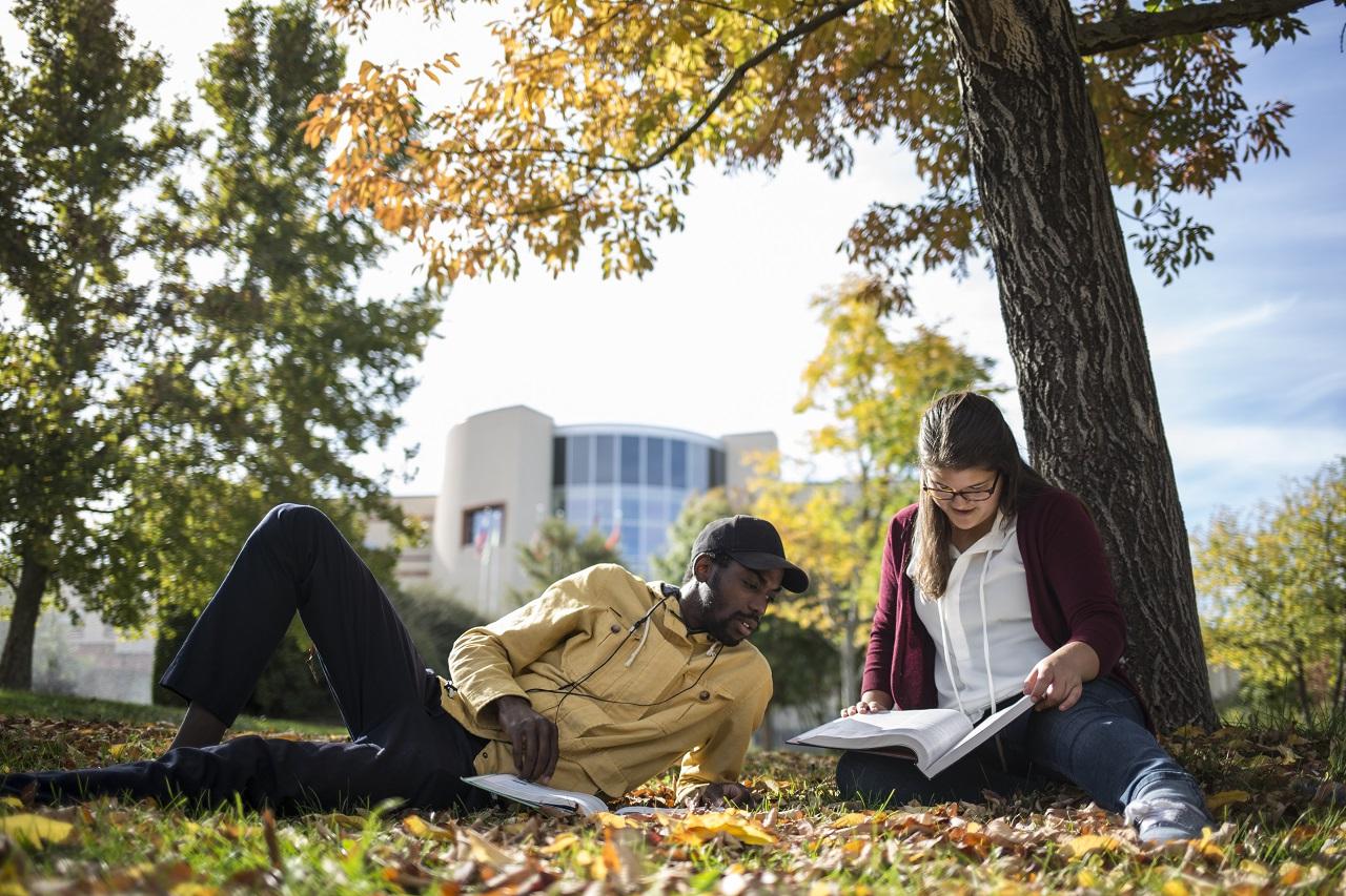 两个学生在被黄色包围的校园庭院的一棵树下学习, 红色的, 还有从他们头顶树上落下的橙色树叶.